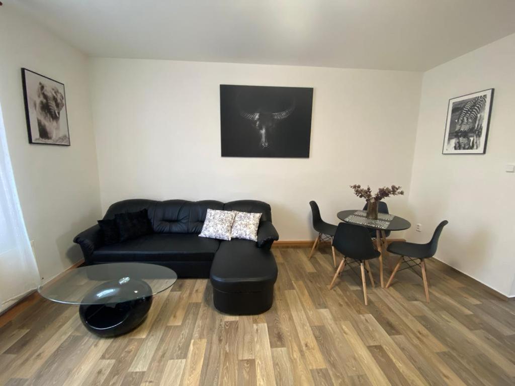Cerny Tulipan - Apartman 2 Pilsen Exterior foto