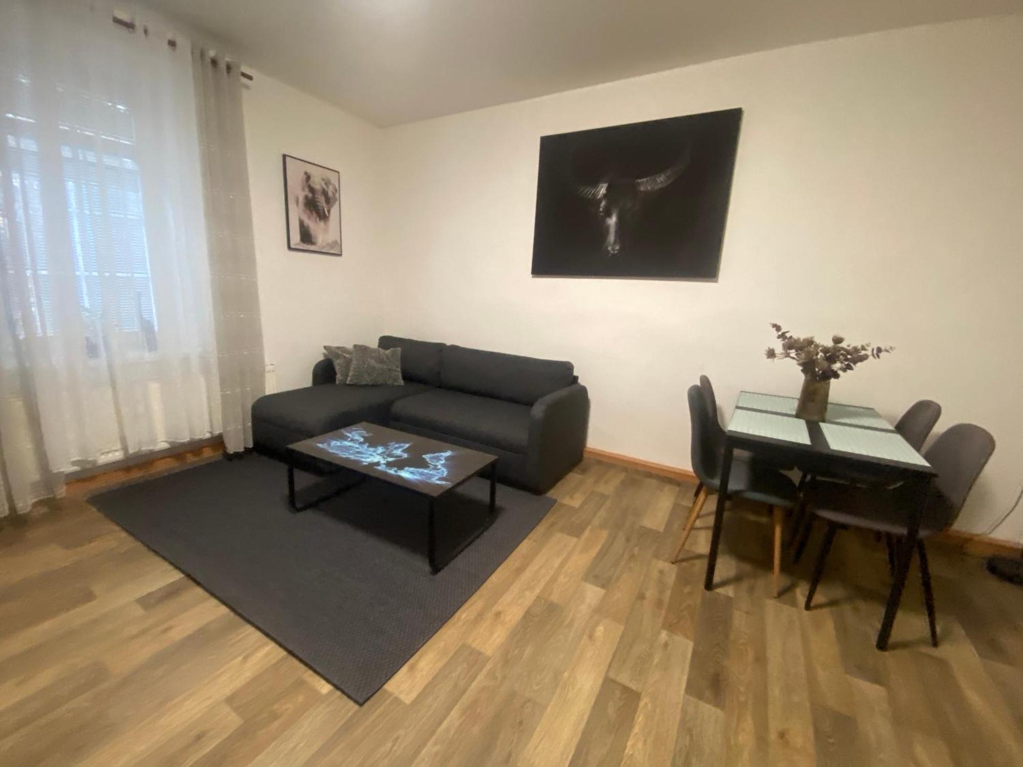 Cerny Tulipan - Apartman 2 Pilsen Exterior foto