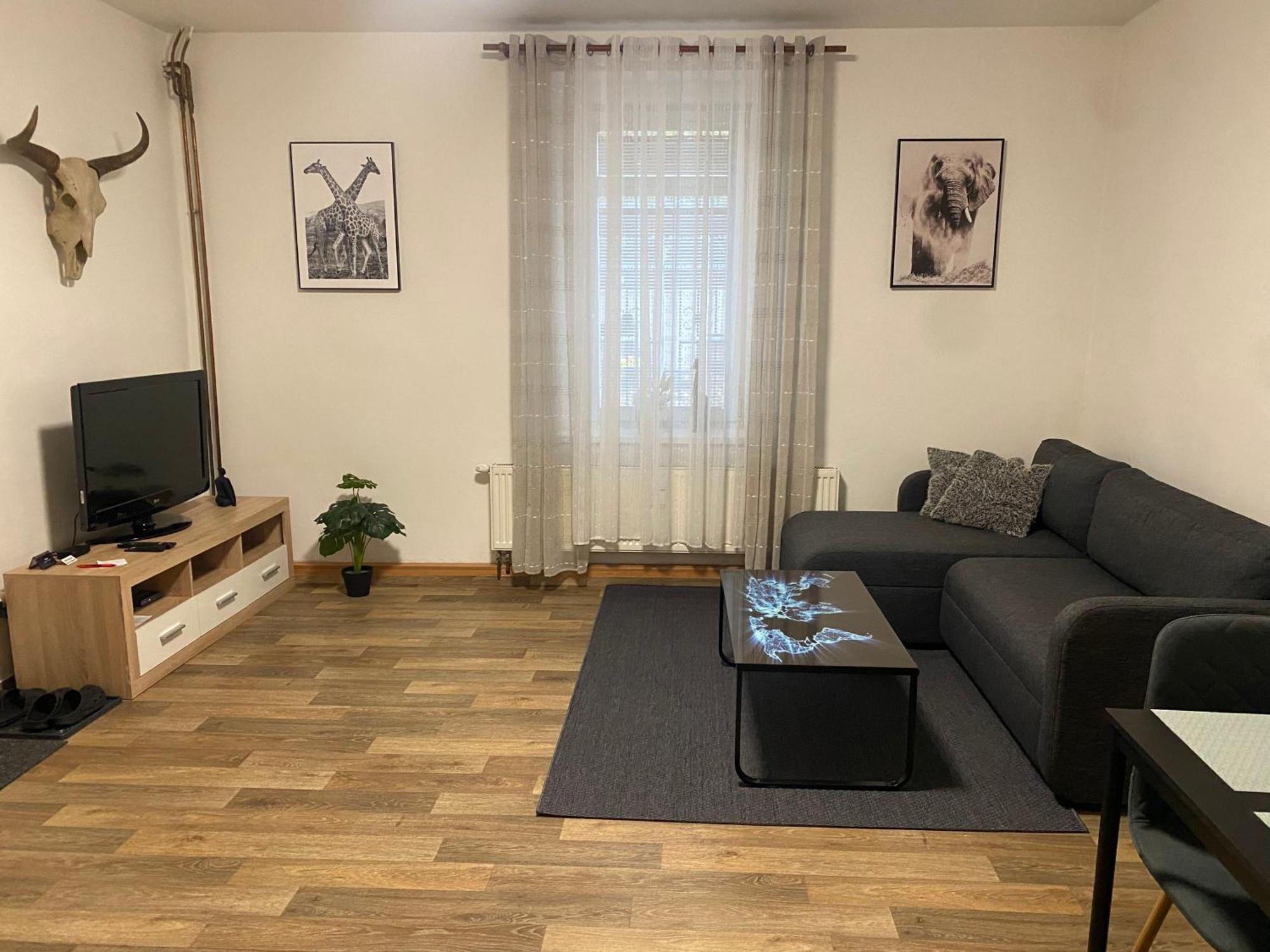 Cerny Tulipan - Apartman 2 Pilsen Exterior foto